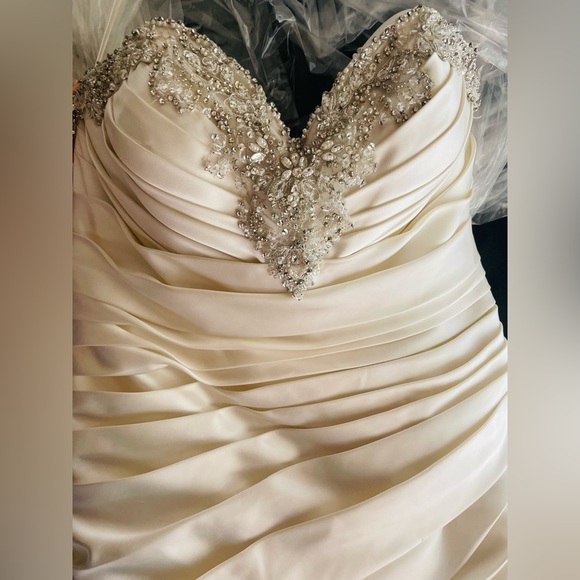 Stunning Wedding Dress - Picture 5 of 5